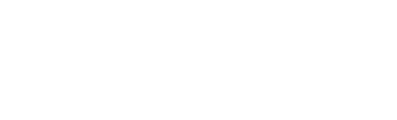Consultoría E3, Estrategias Empresariales en eBusiness